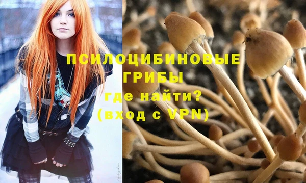 мдпв Магадан